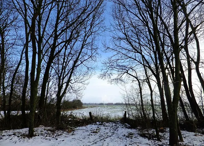 Haus Swantje بيت للعطل Hinte